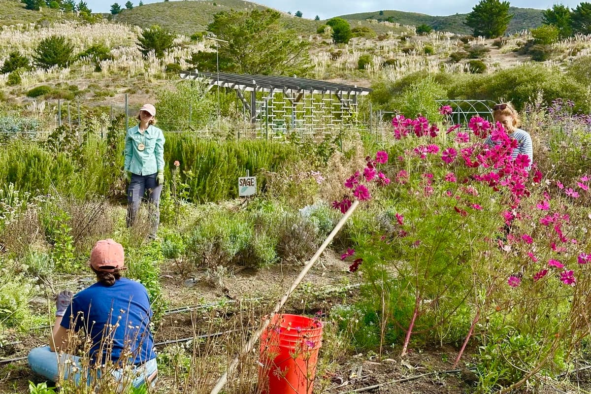 HEAL Project students in garden